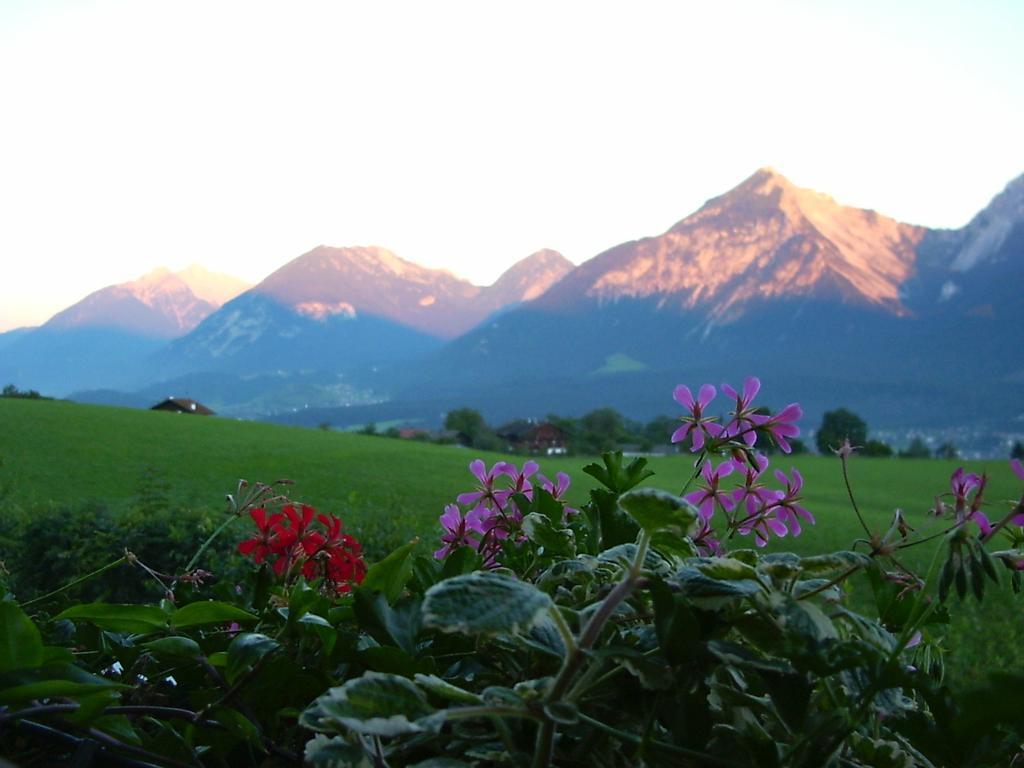 Pension Resi Reith im Alpbachtal Exterior foto